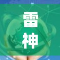 雷神加速器海外服务器,技术解析与未来展望