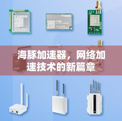 海豚加速器,网络加速技术的新篇章