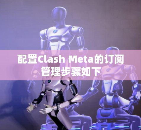配置Clash Meta的订阅管理步骤如下