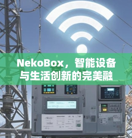 NekoBox,智能设备与生活创新的完美融合