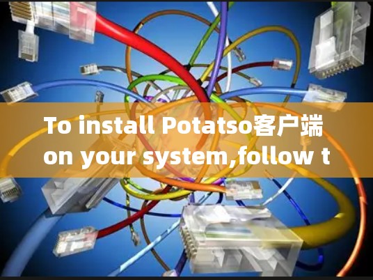 To install Potatso客户端 on your system,follow these organized steps based on your OS: