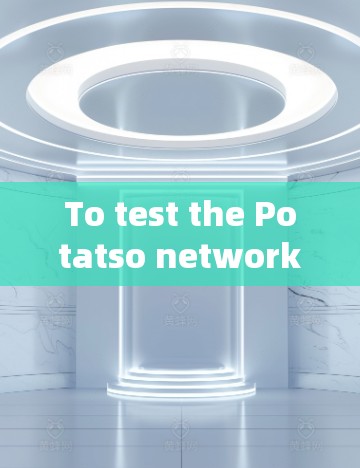 To test the Potatso network,follow these organized steps: