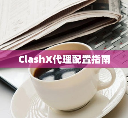 ClashX代理配置指南