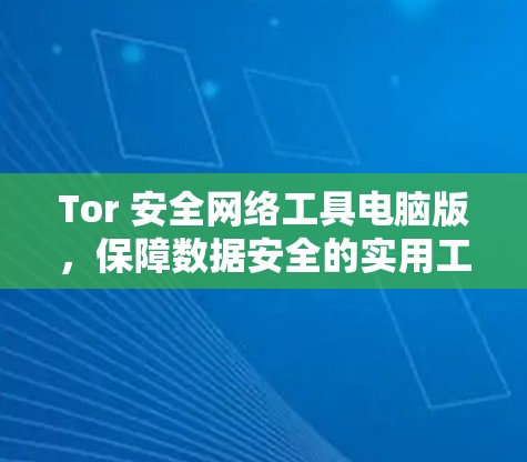 Tor 安全网络工具电脑版，保障数据安全的实用工具