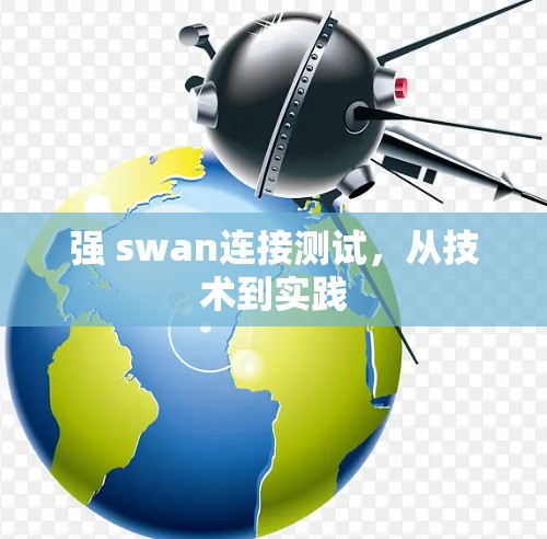 强 swan连接测试，从技术到实践