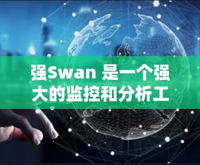 强Swan 是一个强大的监控和分析工具,主要用于实时监控和数据分析。以下是对强Swan 使用指南的详细分析
